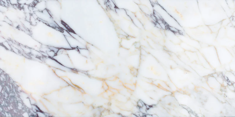 Calacatta Violin Honed Marble 6" x 12" 